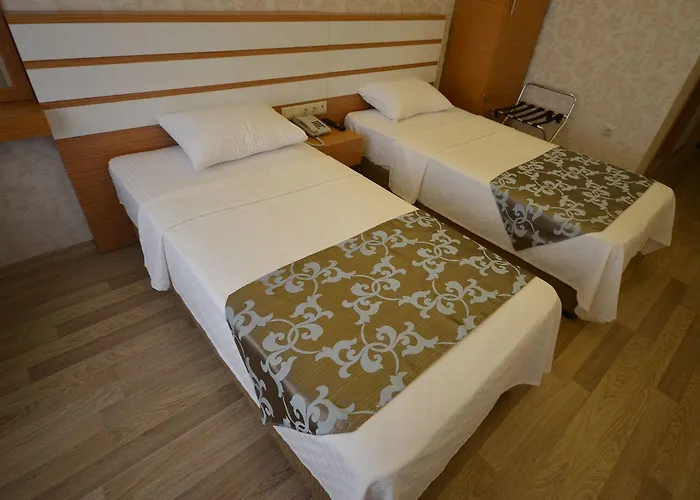 Onarslan ウシャク